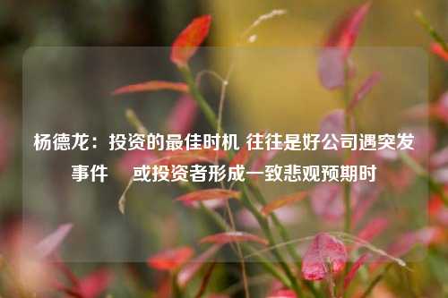 杨德龙：投资的最佳时机 往往是好公司遇突发事件  或投资者形成一致悲观预期时