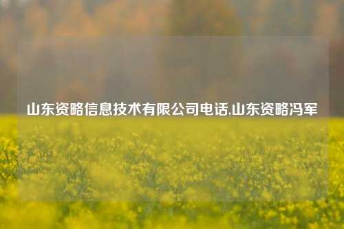 山东资略信息技术有限公司电话,山东资略冯军