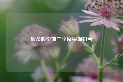 佩蒂股份前三季度实现扭亏