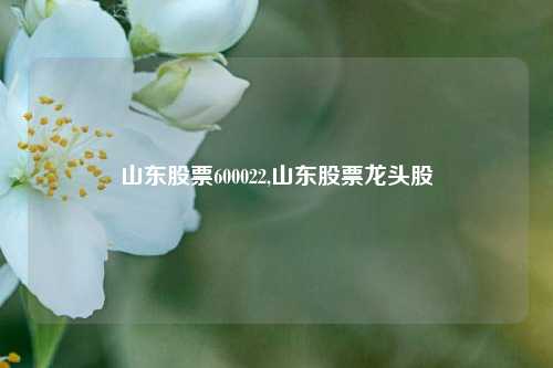 山东股票600022,山东股票龙头股