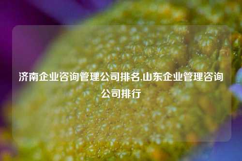 济南企业咨询管理公司排名,山东企业管理咨询公司排行