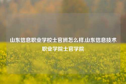 山东信息职业学校士官班怎么样,山东信息技术职业学院士官学院