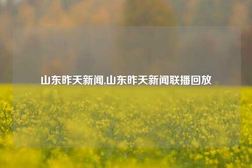 山东昨天新闻,山东昨天新闻联播回放