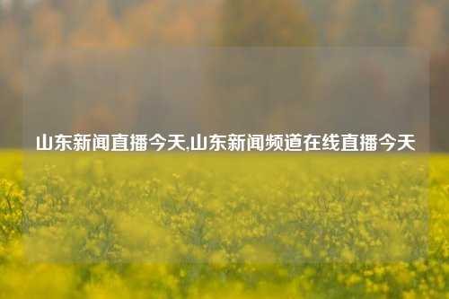 山东新闻直播今天,山东新闻频道在线直播今天