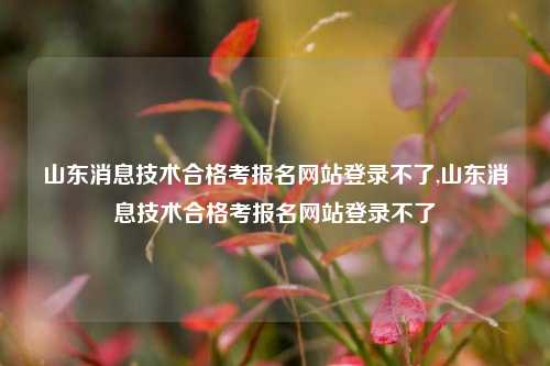 山东消息技术合格考报名网站登录不了,山东消息技术合格考报名网站登录不了