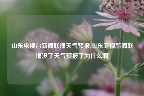 山东电视台新闻联播天气预报,山东卫视新闻联播没了天气预报了为什么啊