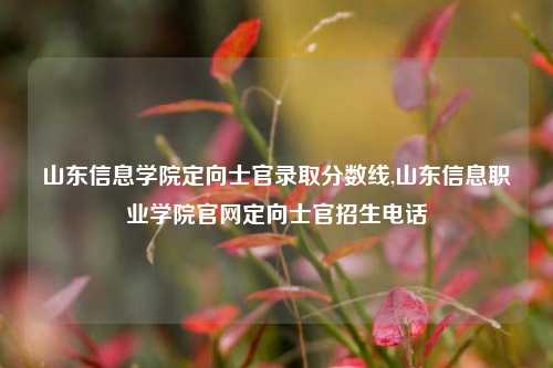 山东信息学院定向士官录取分数线,山东信息职业学院官网定向士官招生电话