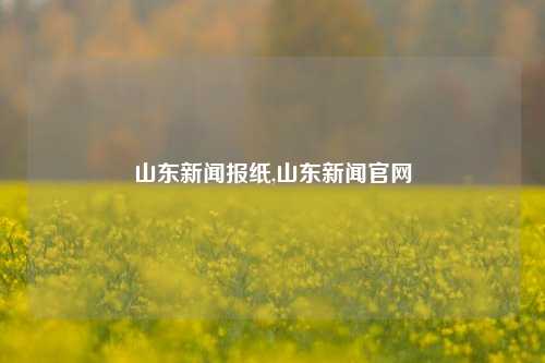 山东新闻报纸,山东新闻官网