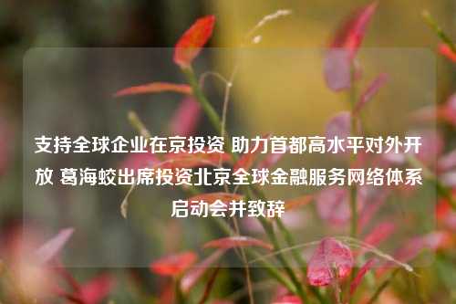 支持全球企业在京投资 助力首都高水平对外开放 葛海蛟出席投资北京全球金融服务网络体系启动会并致辞