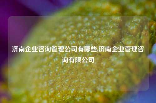 济南企业咨询管理公司有哪些,济南企业管理咨询有限公司