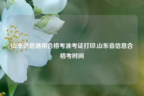 山东信息通用合格考准考证打印,山东省信息合格考时间