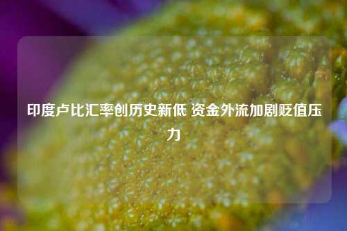 印度卢比汇率创历史新低 资金外流加剧贬值压力