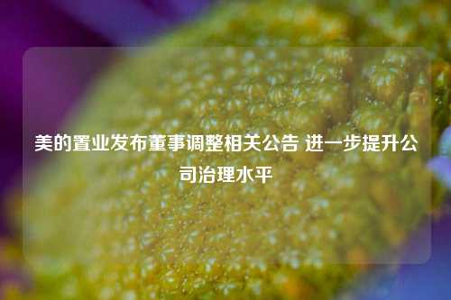 美的置业发布董事调整相关公告 进一步提升公司治理水平