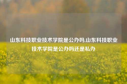 山东科技职业技术学院是公办吗,山东科技职业技术学院是公办吗还是私办