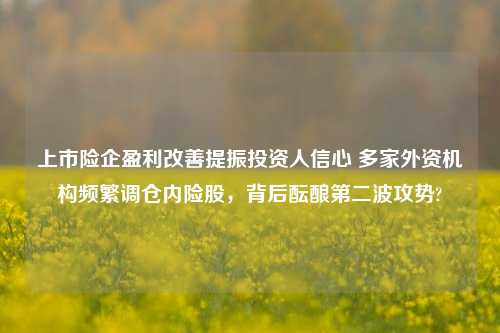 上市险企盈利改善提振投资人信心 多家外资机构频繁调仓内险股，背后酝酿第二波攻势?