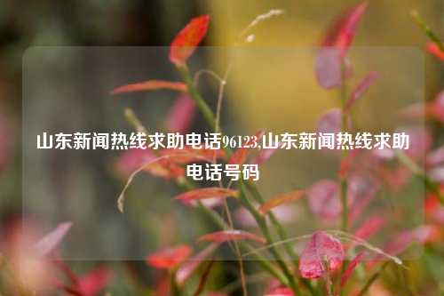 山东新闻热线求助电话96123,山东新闻热线求助电话号码