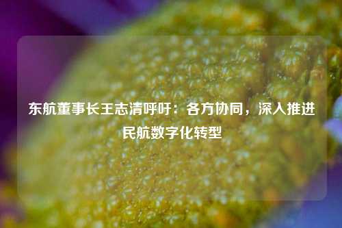 东航董事长王志清呼吁：各方协同，深入推进民航数字化转型