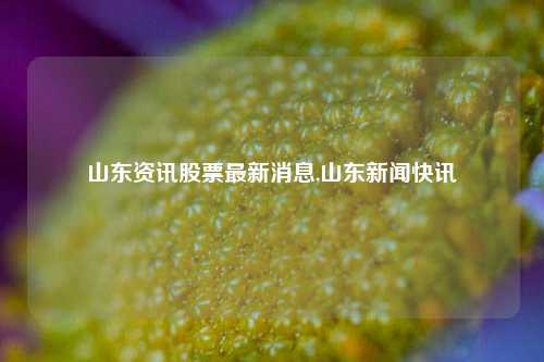 山东资讯股票最新消息,山东新闻快讯