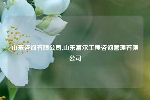 山东咨询有限公司,山东富尔工程咨询管理有限公司