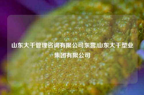 山东大千管理咨询有限公司东营,山东大千塑业集团有限公司