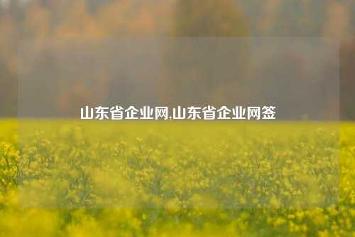 山东省企业网,山东省企业网签