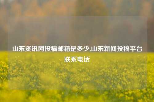 山东资讯网投稿邮箱是多少,山东新闻投稿平台联系电话