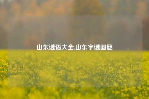 山东谜语大全,山东字谜图谜