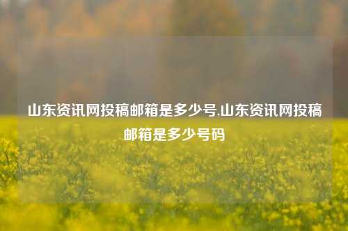 山东资讯网投稿邮箱是多少号,山东资讯网投稿邮箱是多少号码