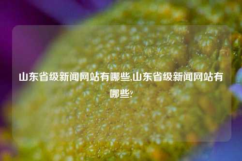 山东省级新闻网站有哪些,山东省级新闻网站有哪些?