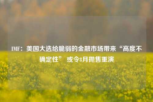 IMF：美国大选给脆弱的金融市场带来“高度不确定性” 或令8月抛售重演