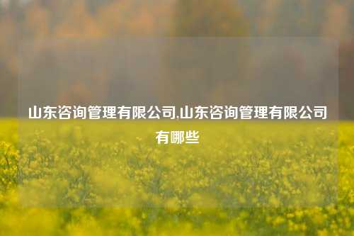 山东咨询管理有限公司,山东咨询管理有限公司有哪些