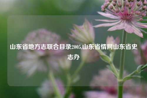 山东省地方志联合目录2005,山东省情网山东省史志办