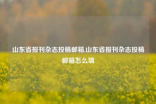 山东省报刊杂志投稿邮箱,山东省报刊杂志投稿邮箱怎么填