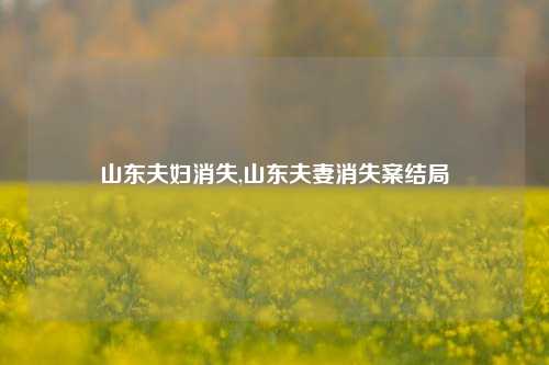 山东夫妇消失,山东夫妻消失案结局