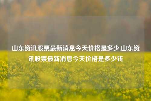 山东资讯股票最新消息今天价格是多少,山东资讯股票最新消息今天价格是多少钱