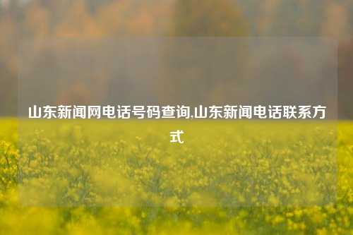 山东新闻网电话号码查询,山东新闻电话联系方式