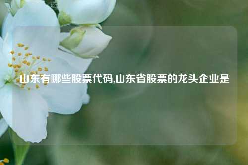 山东有哪些股票代码,山东省股票的龙头企业是