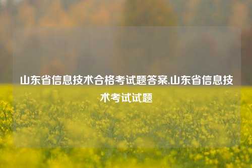 山东省信息技术合格考试题答案,山东省信息技术考试试题