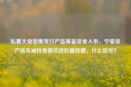 私募大佬密集发行产品筹备资金入市，宁泉资产杨东减持券商买进巨量转债，什么信号？