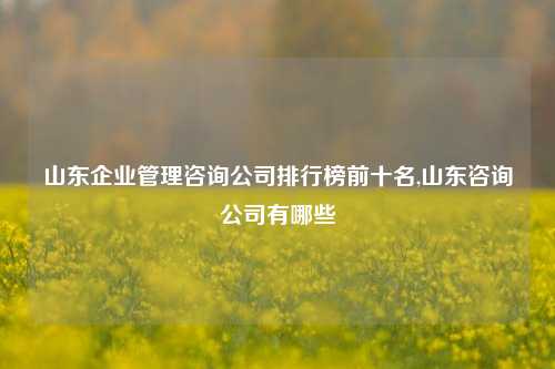 山东企业管理咨询公司排行榜前十名,山东咨询公司有哪些