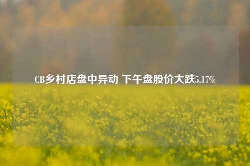 CB乡村店盘中异动 下午盘股价大跌5.17%