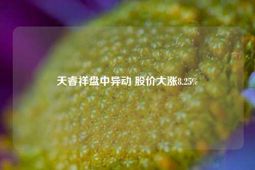 天睿祥盘中异动 股价大涨8.25%