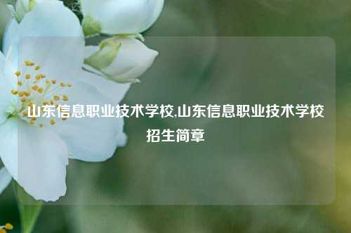 山东信息职业技术学校,山东信息职业技术学校招生简章