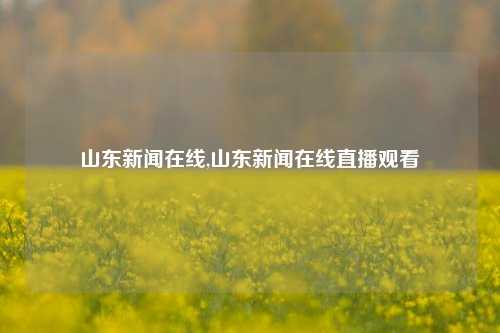 山东新闻在线,山东新闻在线直播观看