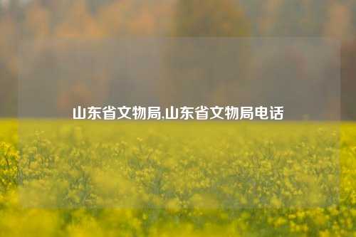 山东省文物局,山东省文物局电话