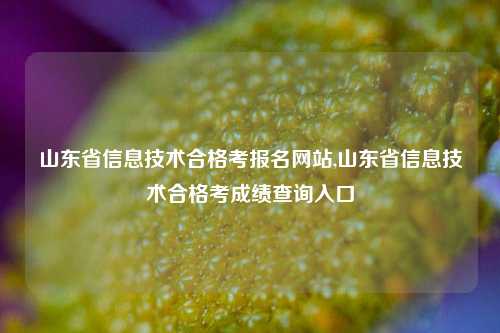 山东省信息技术合格考报名网站,山东省信息技术合格考成绩查询入口