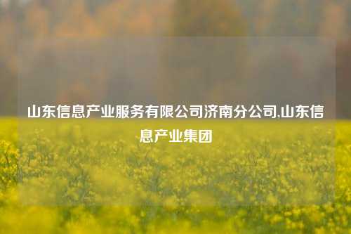 山东信息产业服务有限公司济南分公司,山东信息产业集团