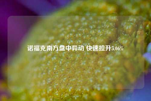 诺福克南方盘中异动 快速拉升5.06%