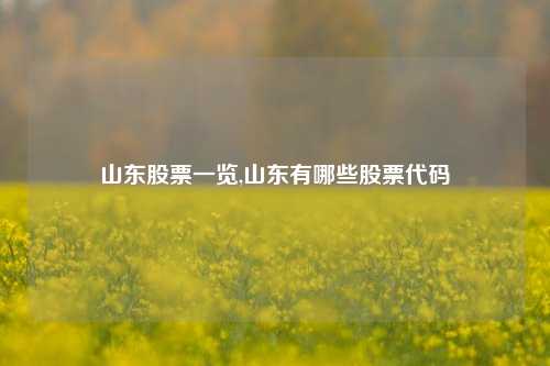 山东股票一览,山东有哪些股票代码