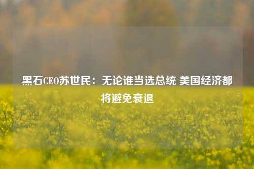 黑石CEO苏世民：无论谁当选总统 美国经济都将避免衰退